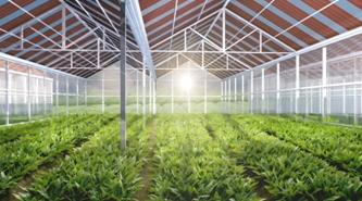 农业温室大棚玻璃大棚自控系统